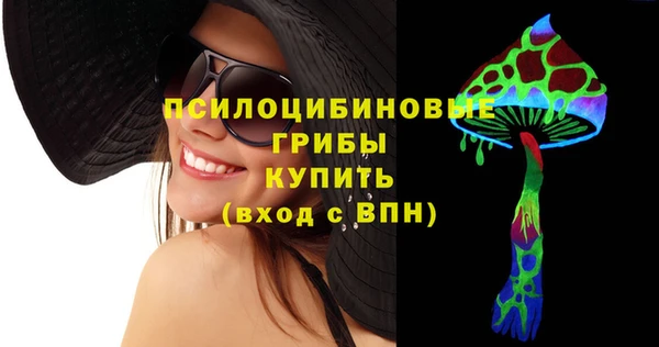 прущий лед Арсеньев